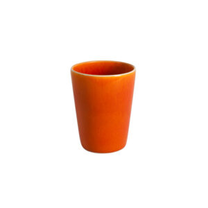 Citrus Orange Minimalist Tumbler